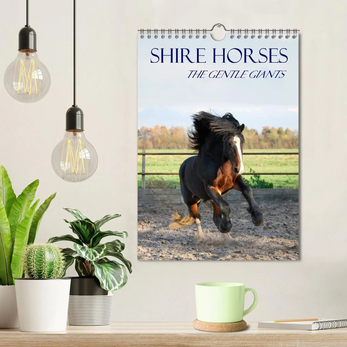 Bild: 9783516568349 | Shire Horses The Gentle Giants (Wall Calendar 2026 DIN A4...
