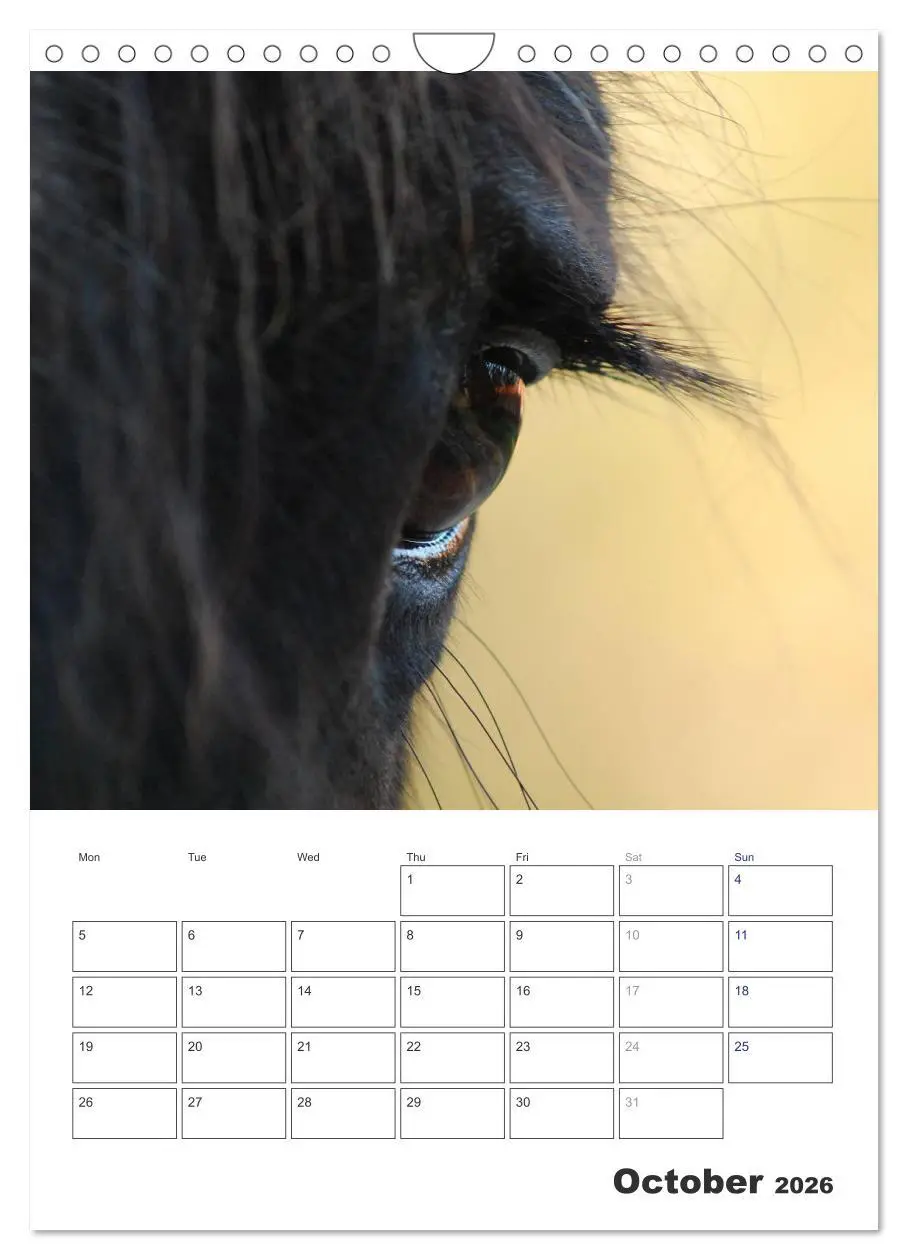 Bild: 9783516568349 | Shire Horses The Gentle Giants (Wall Calendar 2026 DIN A4...