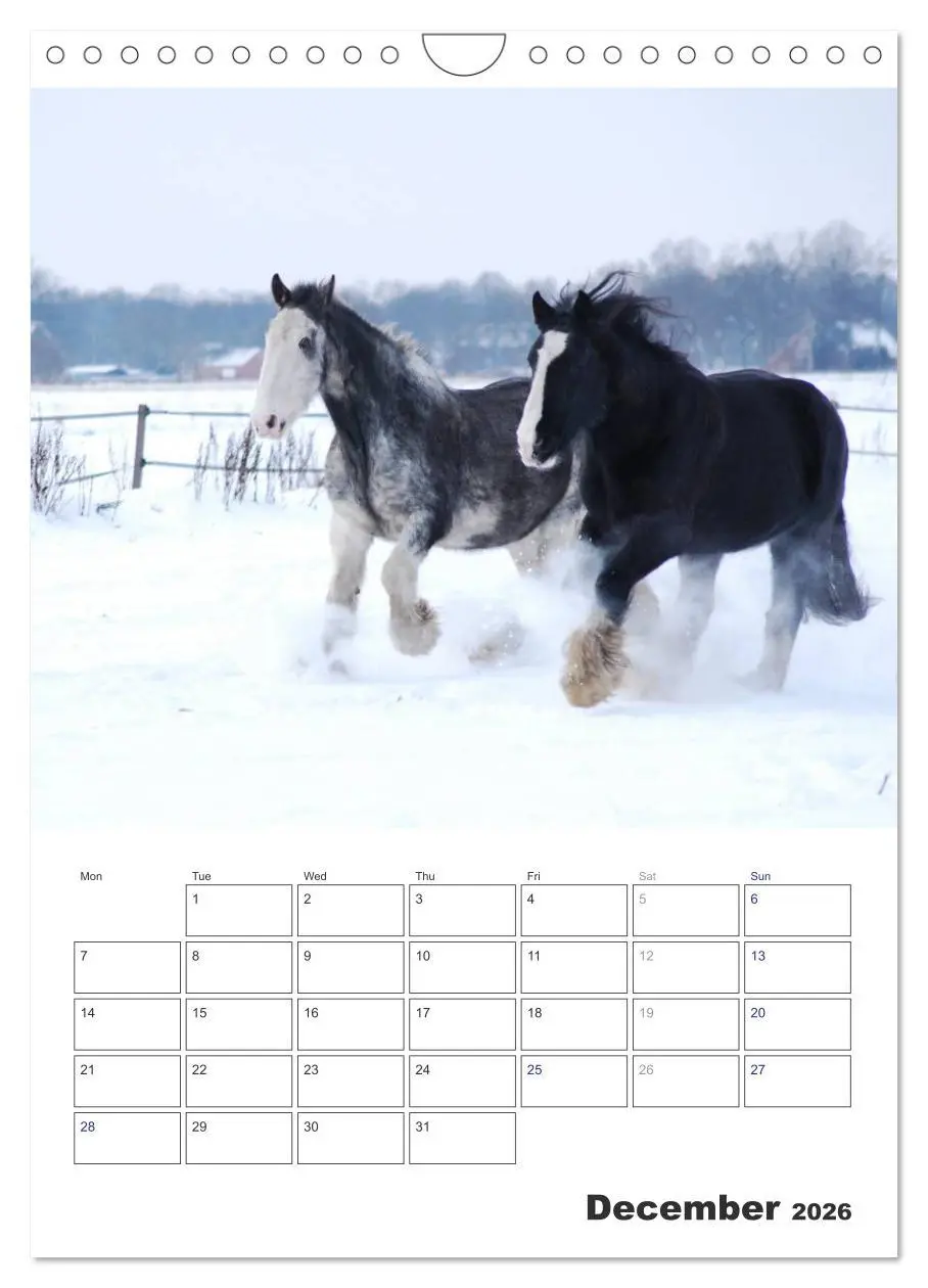 Bild: 9783516568349 | Shire Horses The Gentle Giants (Wall Calendar 2026 DIN A4...