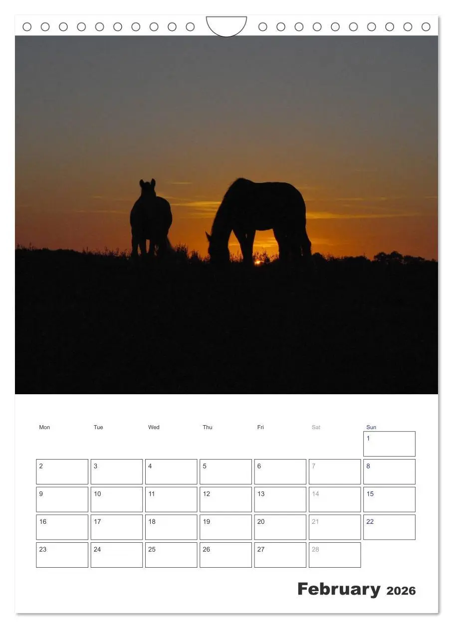 Bild: 9783516568349 | Shire Horses The Gentle Giants (Wall Calendar 2026 DIN A4...