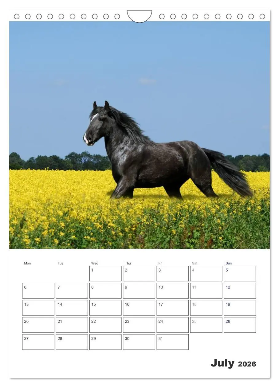 Bild: 9783516568349 | Shire Horses The Gentle Giants (Wall Calendar 2026 DIN A4...