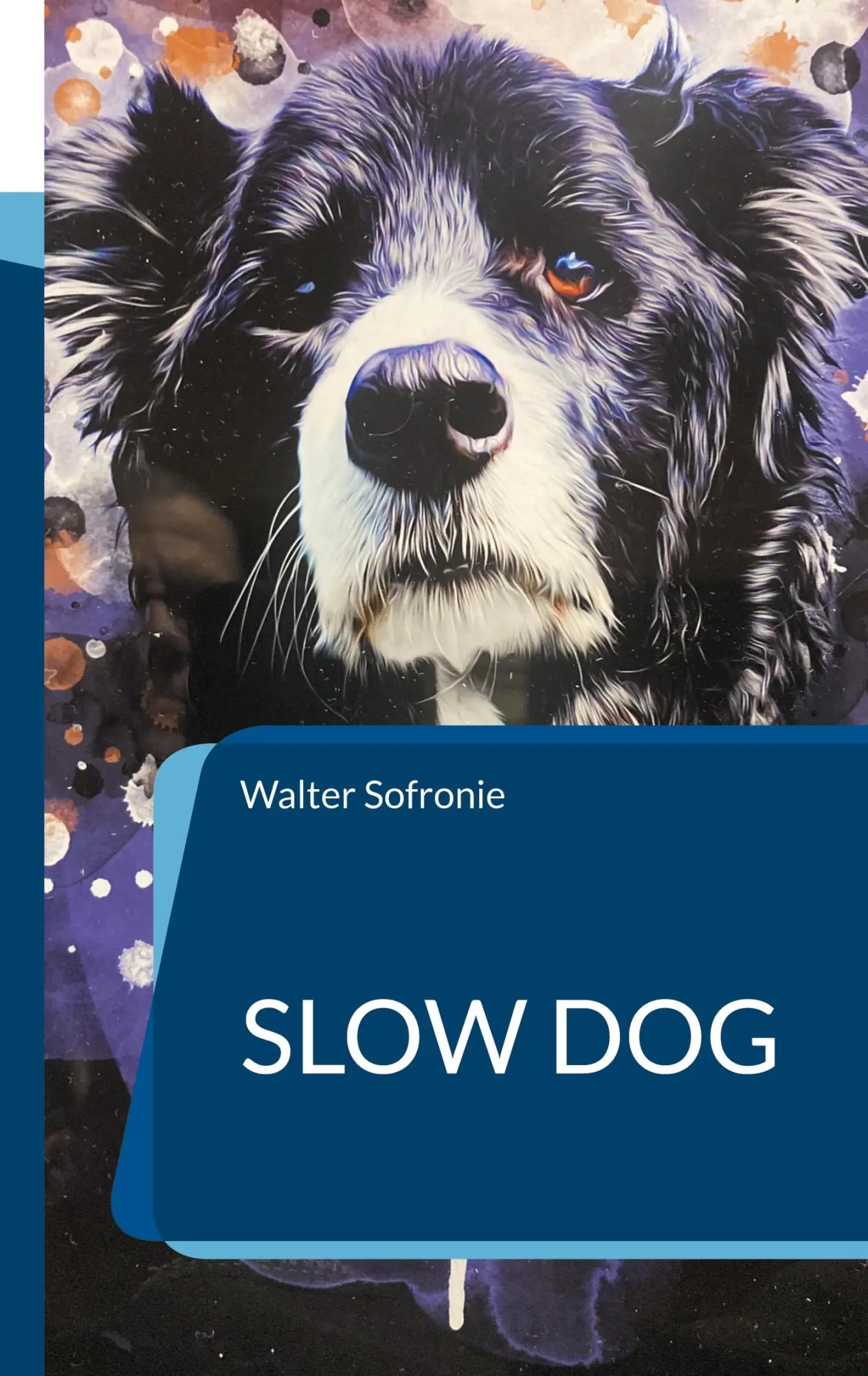 Cover: 9783755778349 | Slow Dog | Ein Hundebuch für das Leben mit dem Hund | Walter Sofronie