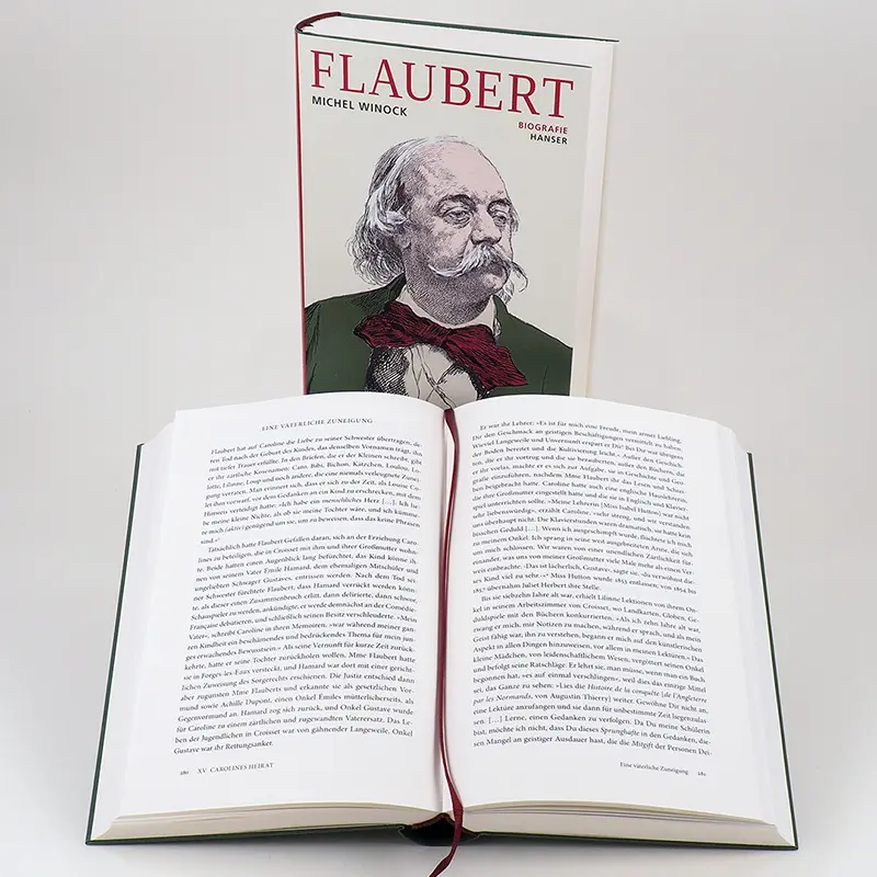 Bild: 9783446268449 | Flaubert | Biografie | Michel Winock | Buch | 656 S. | Deutsch | 2021
