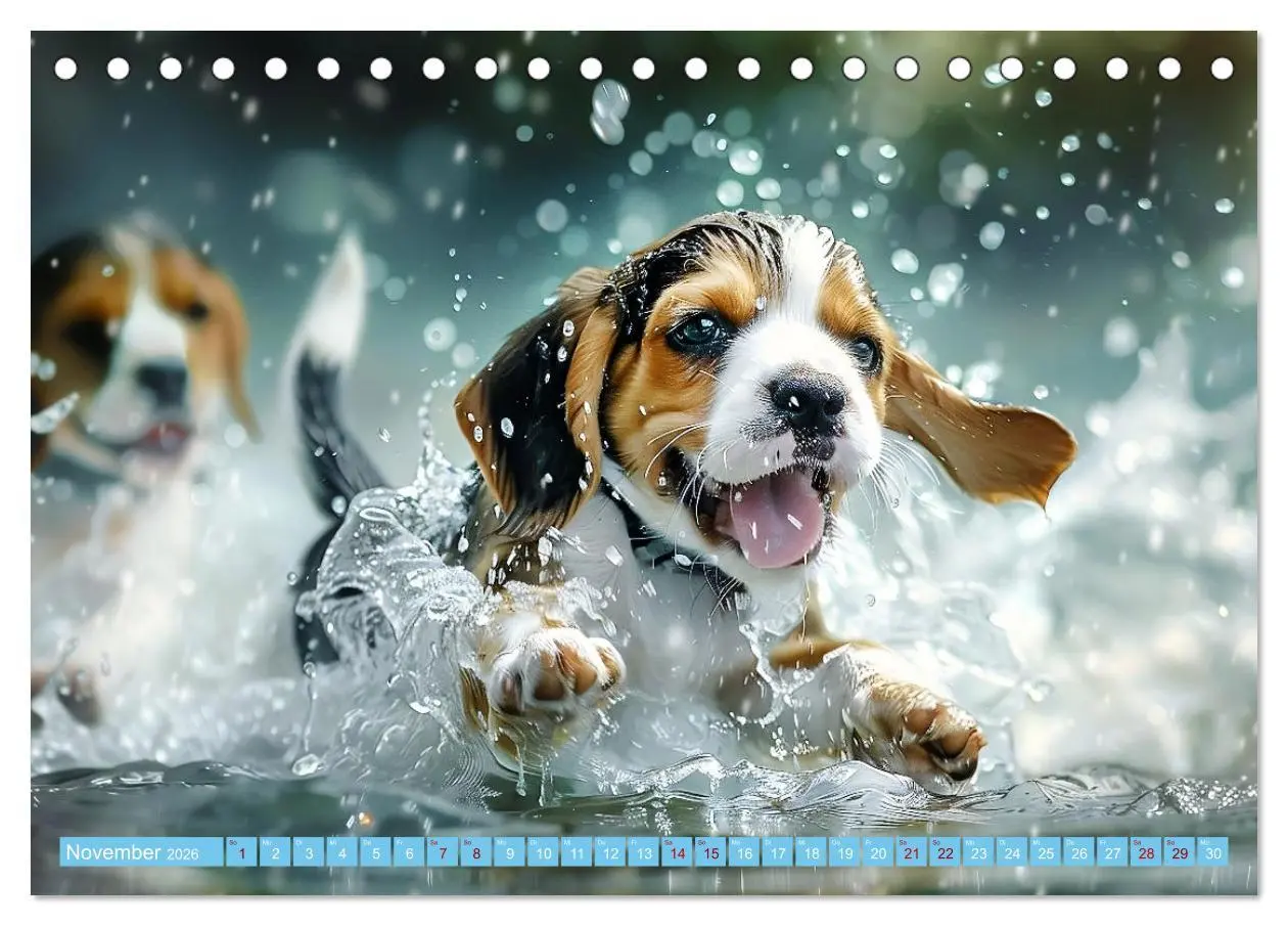 Bild: 9783457398449 | Hunde und Wasser (Tischkalender 2026 DIN A5 quer), CALVENDO...