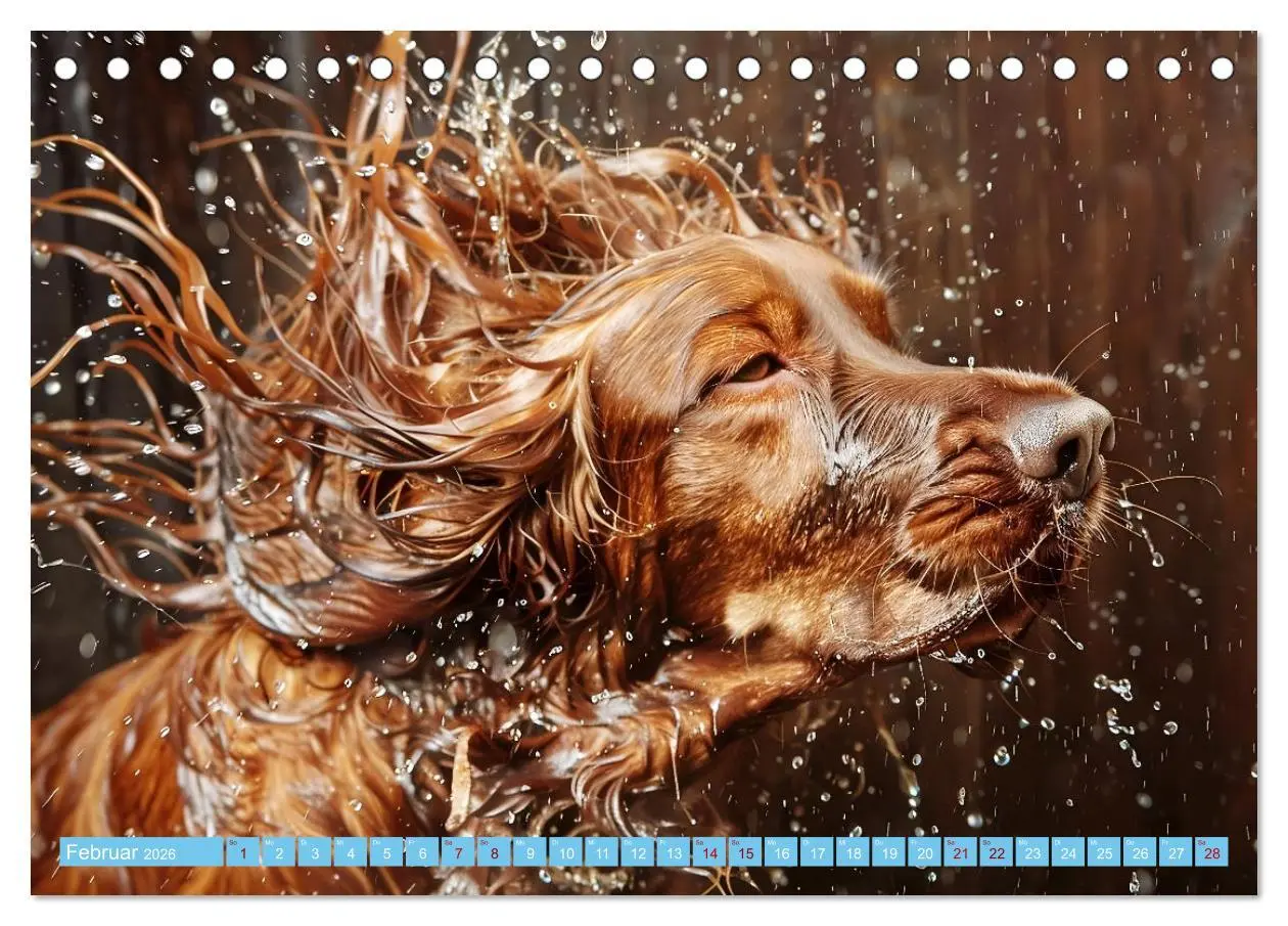 Bild: 9783457398449 | Hunde und Wasser (Tischkalender 2026 DIN A5 quer), CALVENDO...