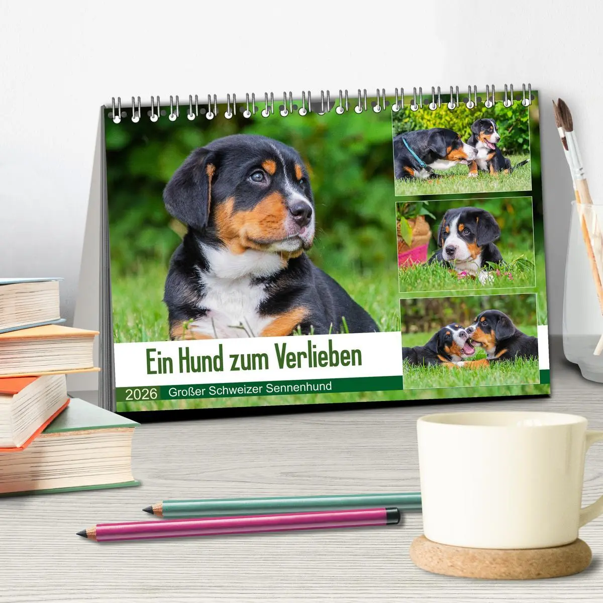 Bild: 9783457778449 | Ein Hund zum Verlieben - Großer Schweizer Sennenhund (Tischkalender...