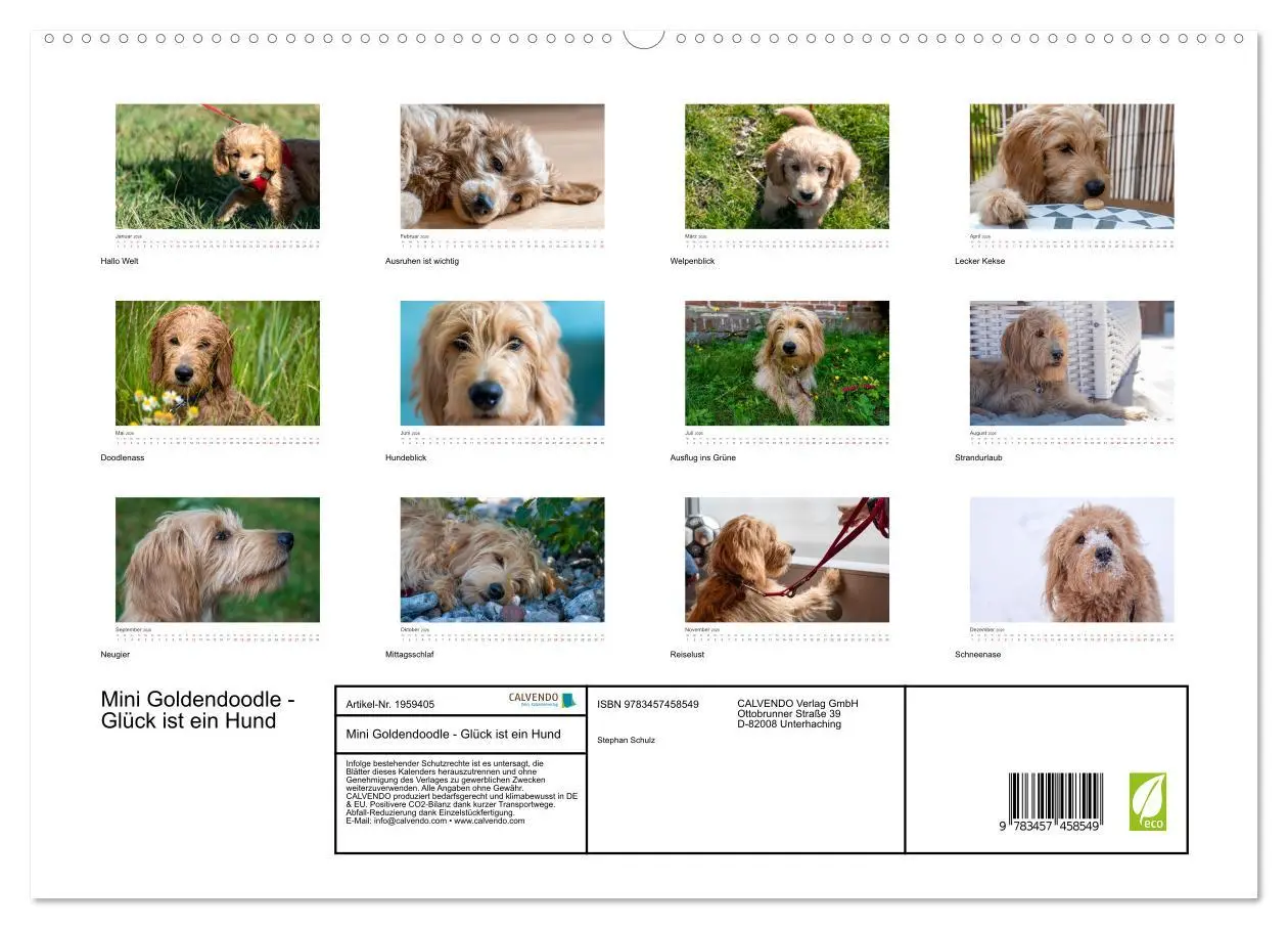 Bild: 9783457458549 | Mini Goldendoodle - Glück ist ein Hund (hochwertiger Premium...