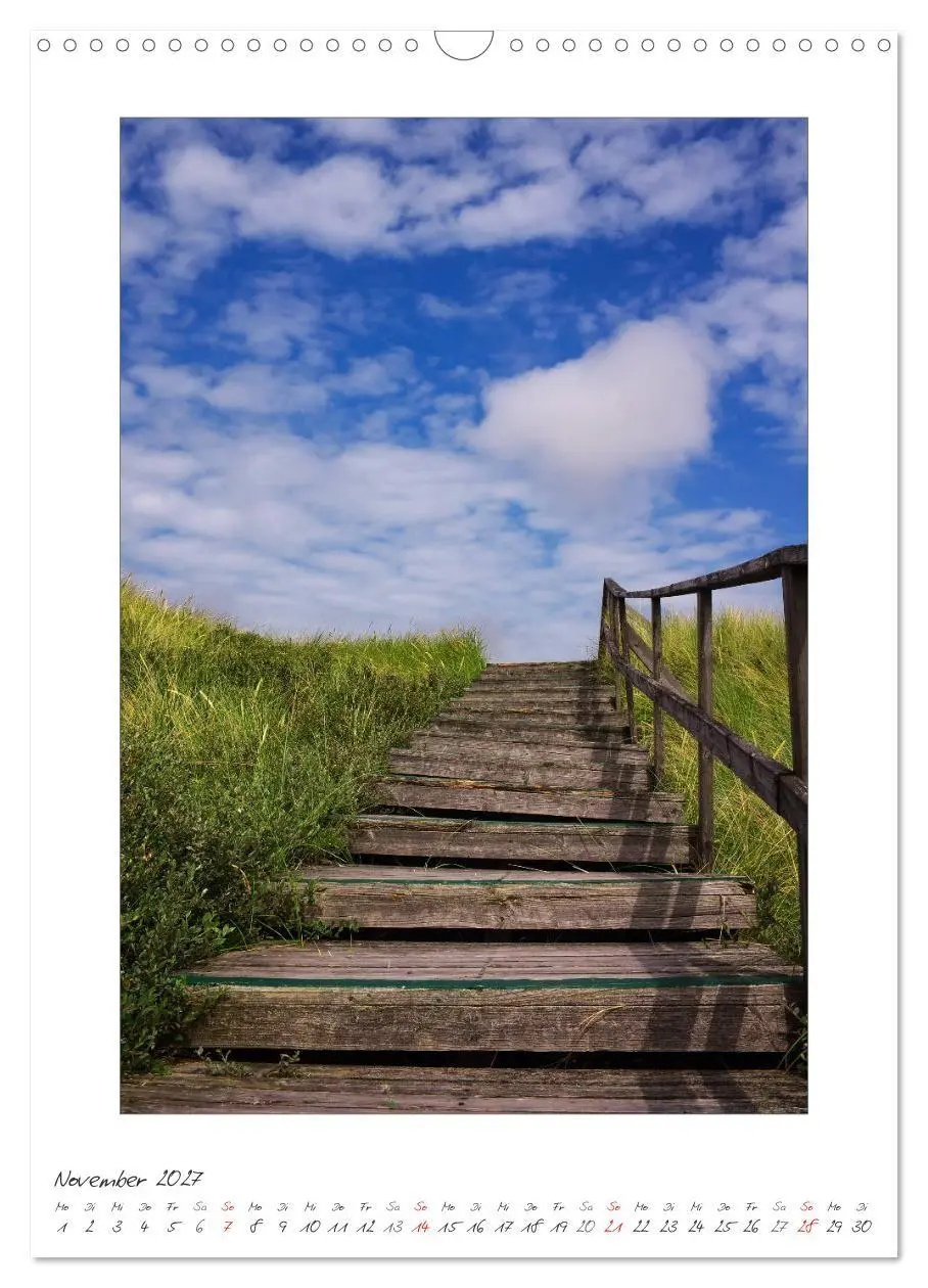 Bild: 9783594218549 | Insel Amrum (Wandkalender 2027 DIN A3 hoch), CALVENDO Monatskalender