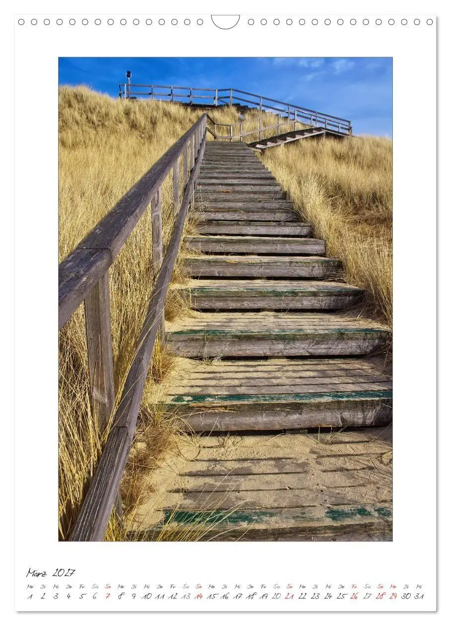 Bild: 9783594218549 | Insel Amrum (Wandkalender 2027 DIN A3 hoch), CALVENDO Monatskalender