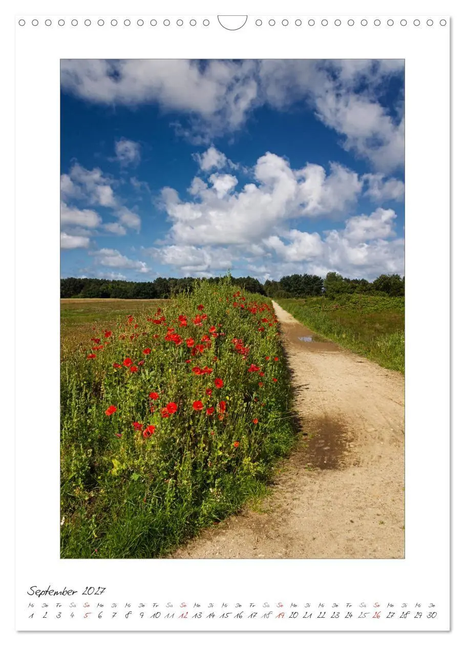 Bild: 9783594218549 | Insel Amrum (Wandkalender 2027 DIN A3 hoch), CALVENDO Monatskalender