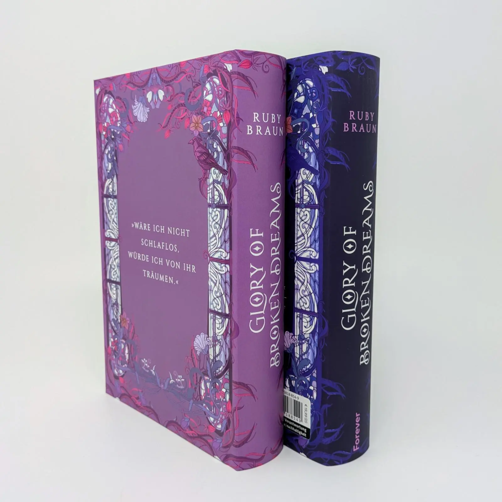 Bild: 9783958188549 | Glory of Broken Dreams | Ruby Braun | Buch | Devil's Dance | 432 S.