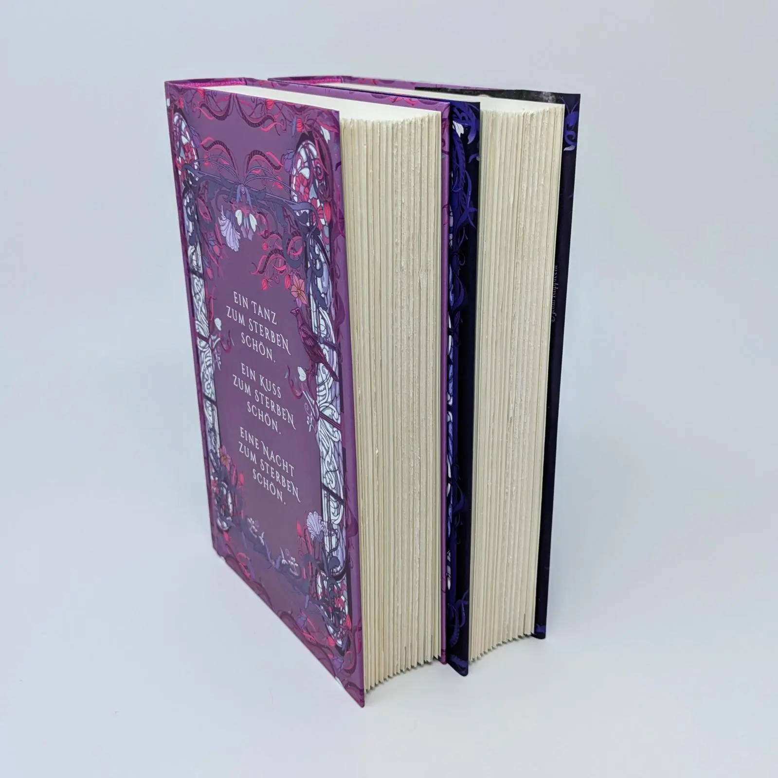 Bild: 9783958188549 | Glory of Broken Dreams | Ruby Braun | Buch | Devil's Dance | 432 S.