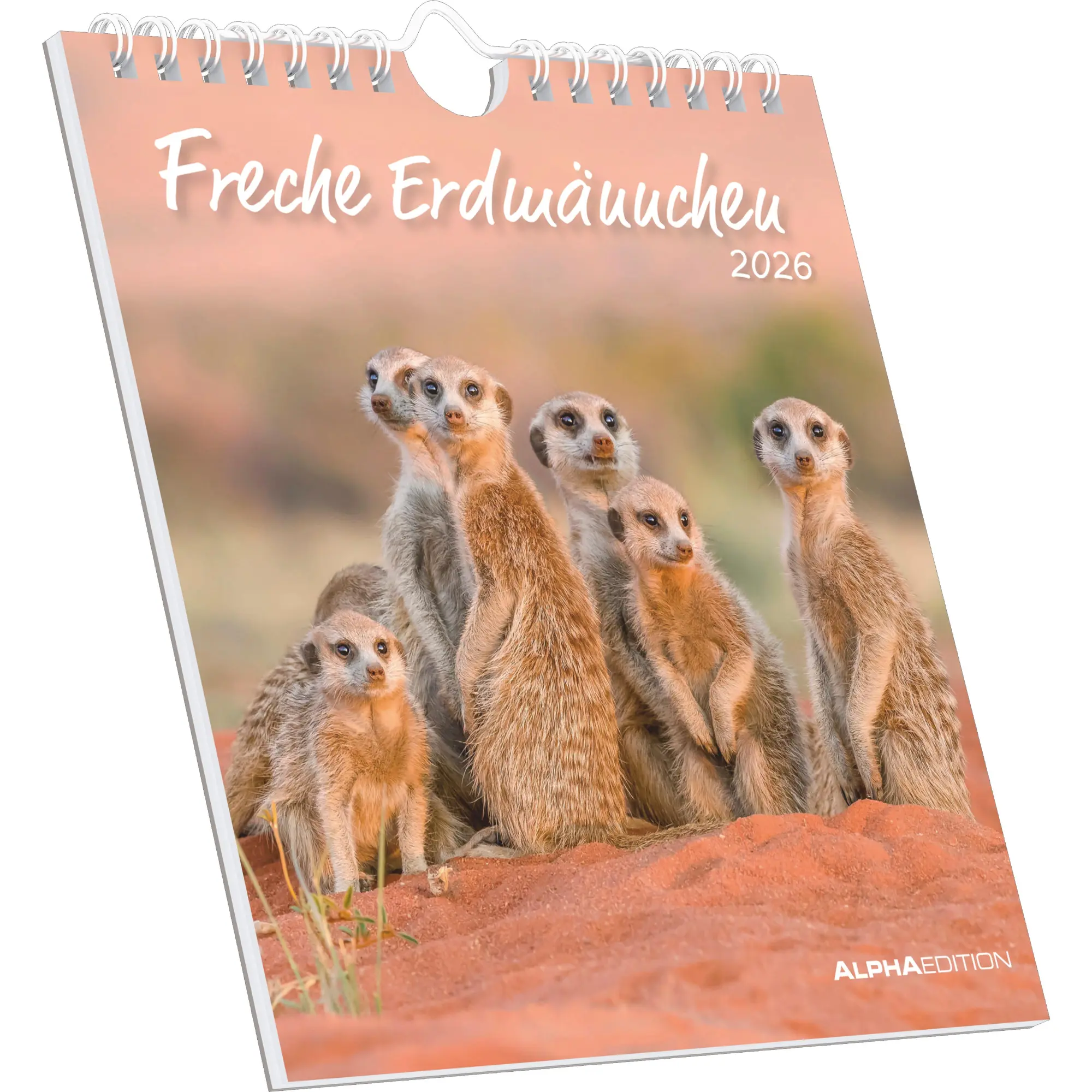 Cover: 4069095008649 | Freche Erdmännchen 2026 - Postkartenkalender 16x17 cm | Kalender