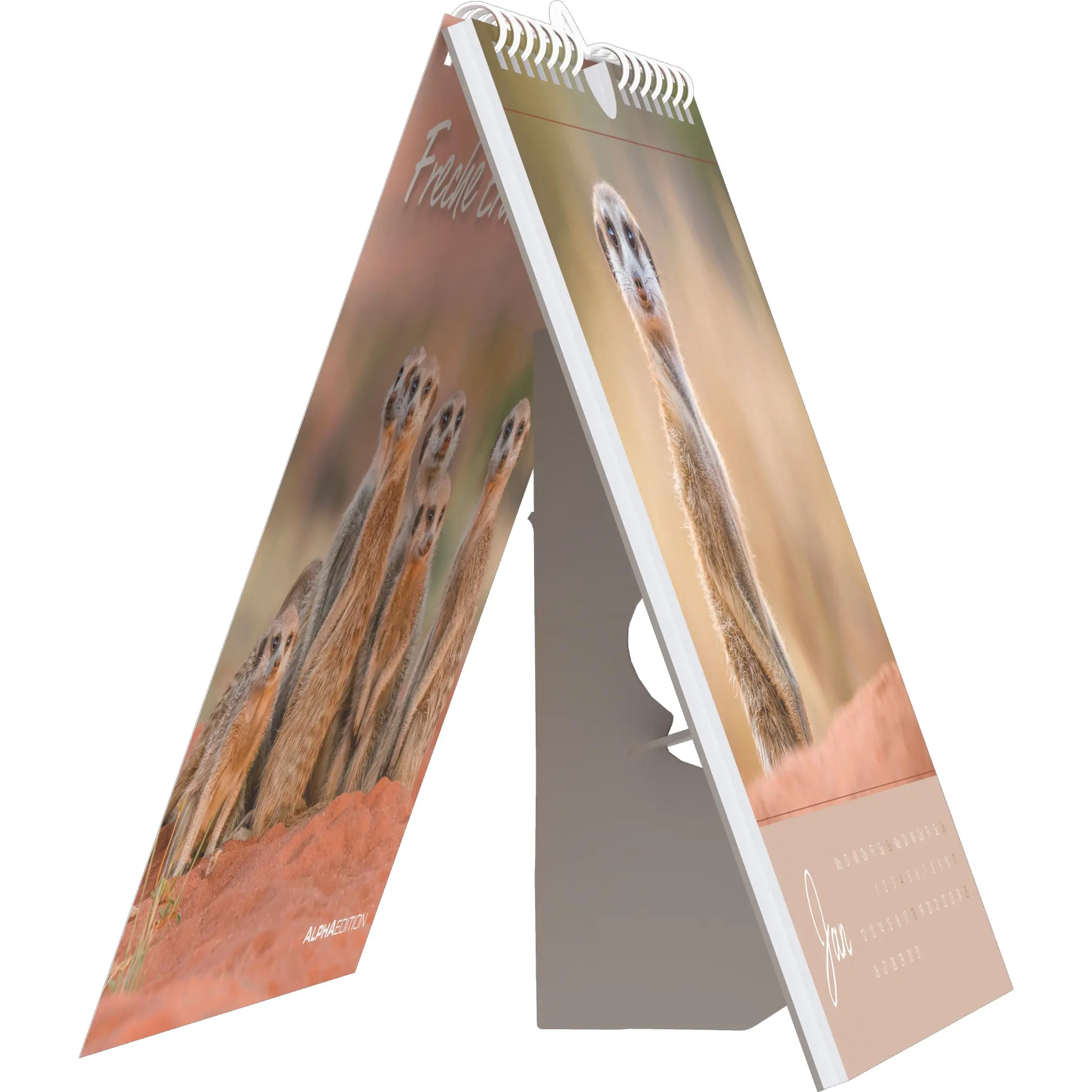 Bild: 4069095008649 | Freche Erdmännchen 2026 - Postkartenkalender 16x17 cm | Kalender