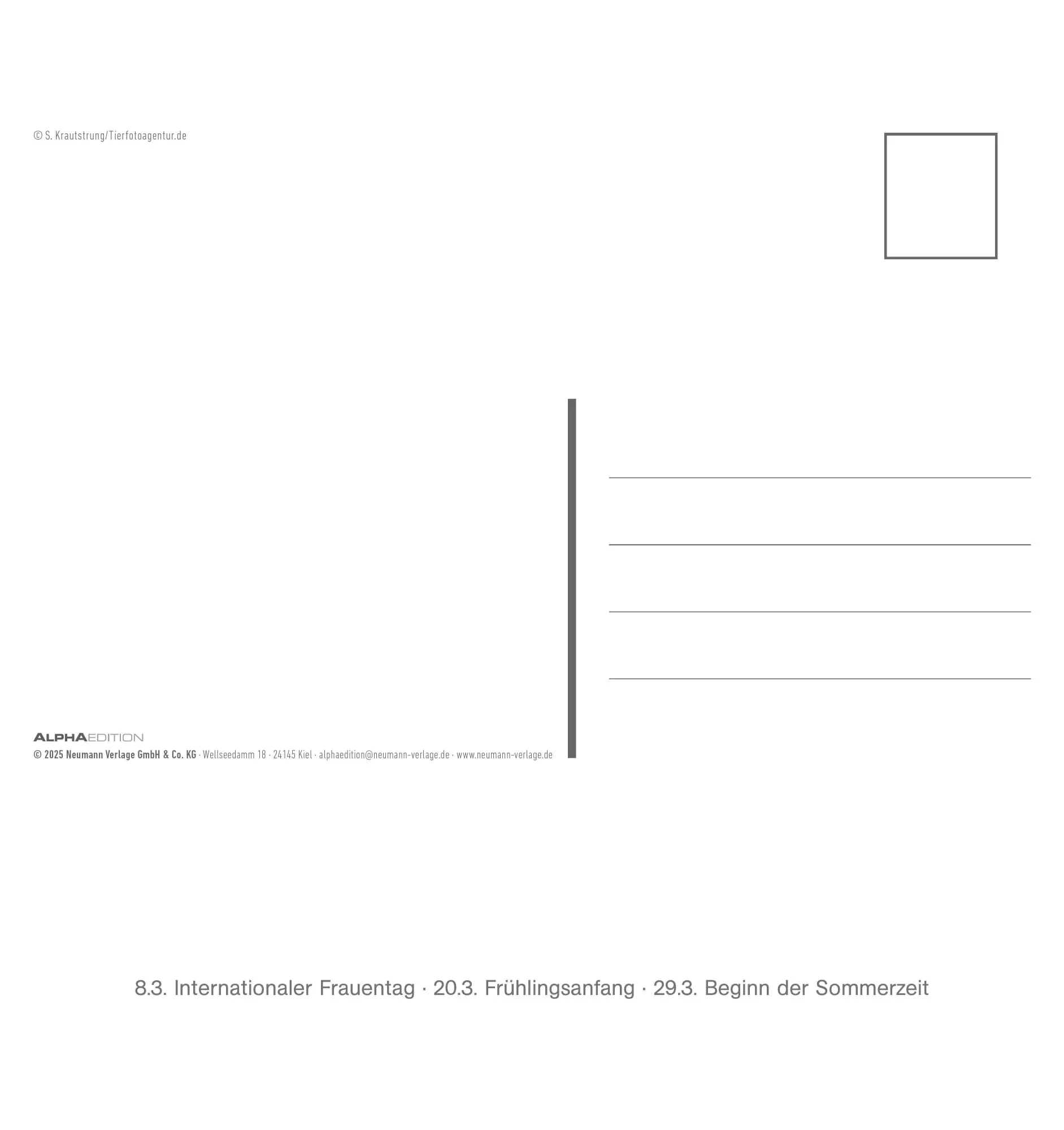 Bild: 4069095008649 | Freche Erdmännchen 2026 - Postkartenkalender 16x17 cm | Kalender