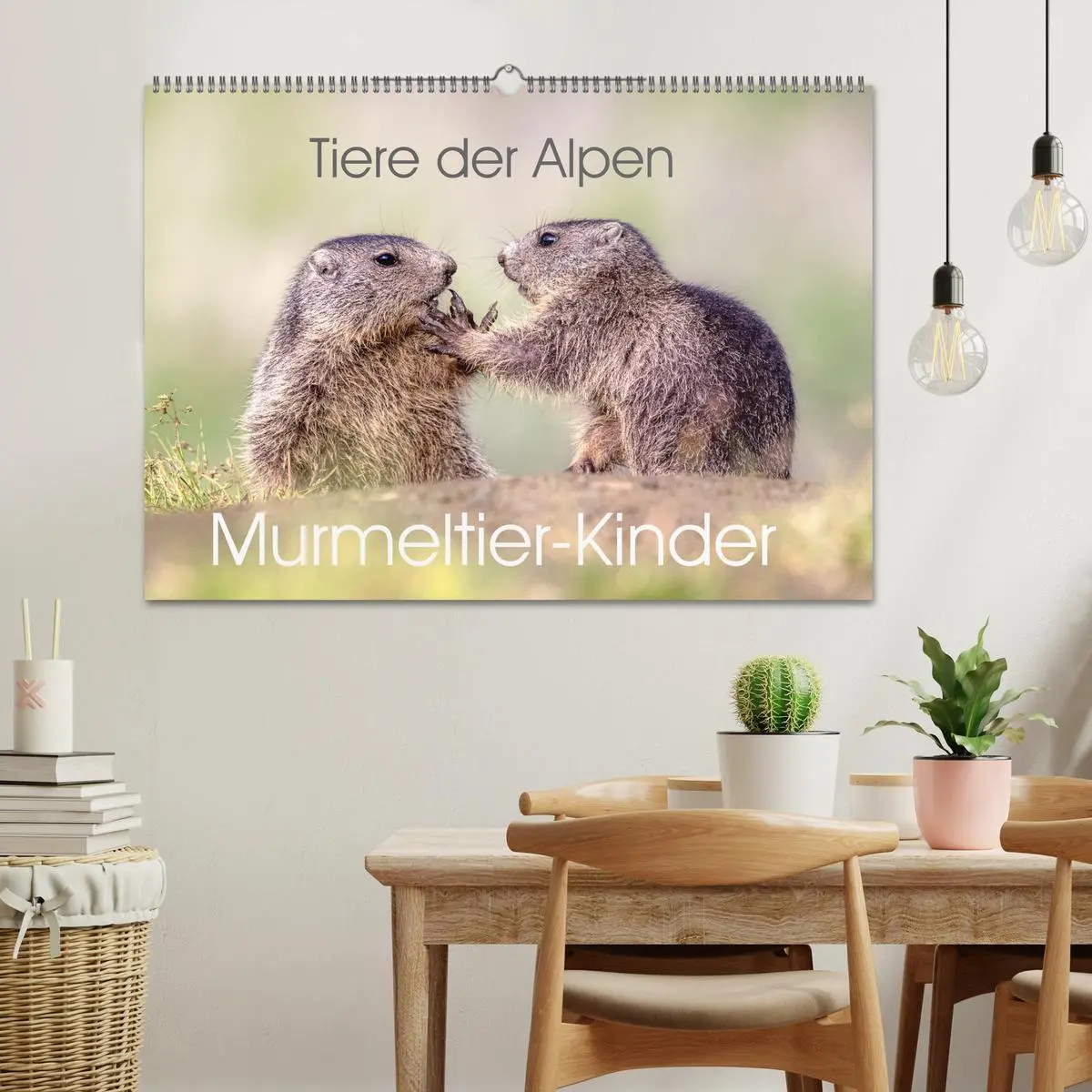 Bild: 9783457378649 | Tiere der Alpen - Murmeltier-Kinder (Wandkalender 2026 DIN A2...