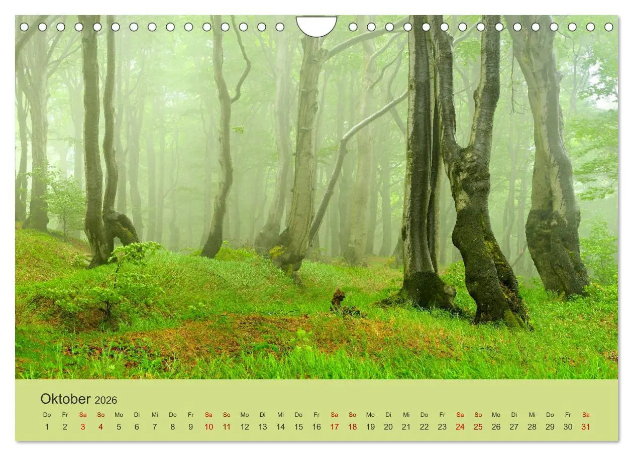 Bild: 9783457758649 | Das Erzgebirge Welterbe und Natur (Wandkalender 2026 DIN A4 quer),...
