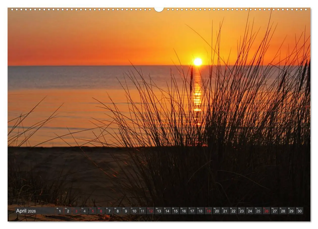 Bild: 9783516158649 | Insel Hiddensee (Wandkalender 2026 DIN A2 quer), CALVENDO...