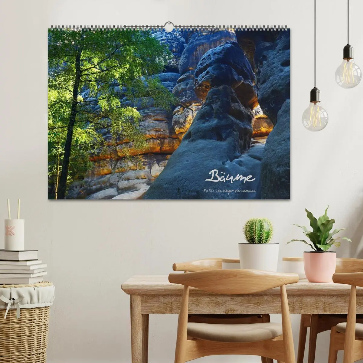 Bild: 9783516228649 | Bäume (Wandkalender 2026 DIN A2 quer), CALVENDO Monatskalender | 2026