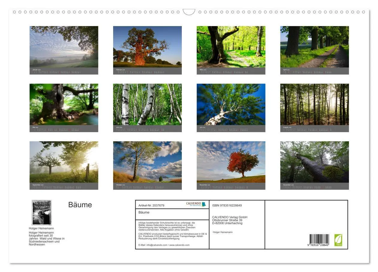 Bild: 9783516228649 | Bäume (Wandkalender 2026 DIN A2 quer), CALVENDO Monatskalender | 2026