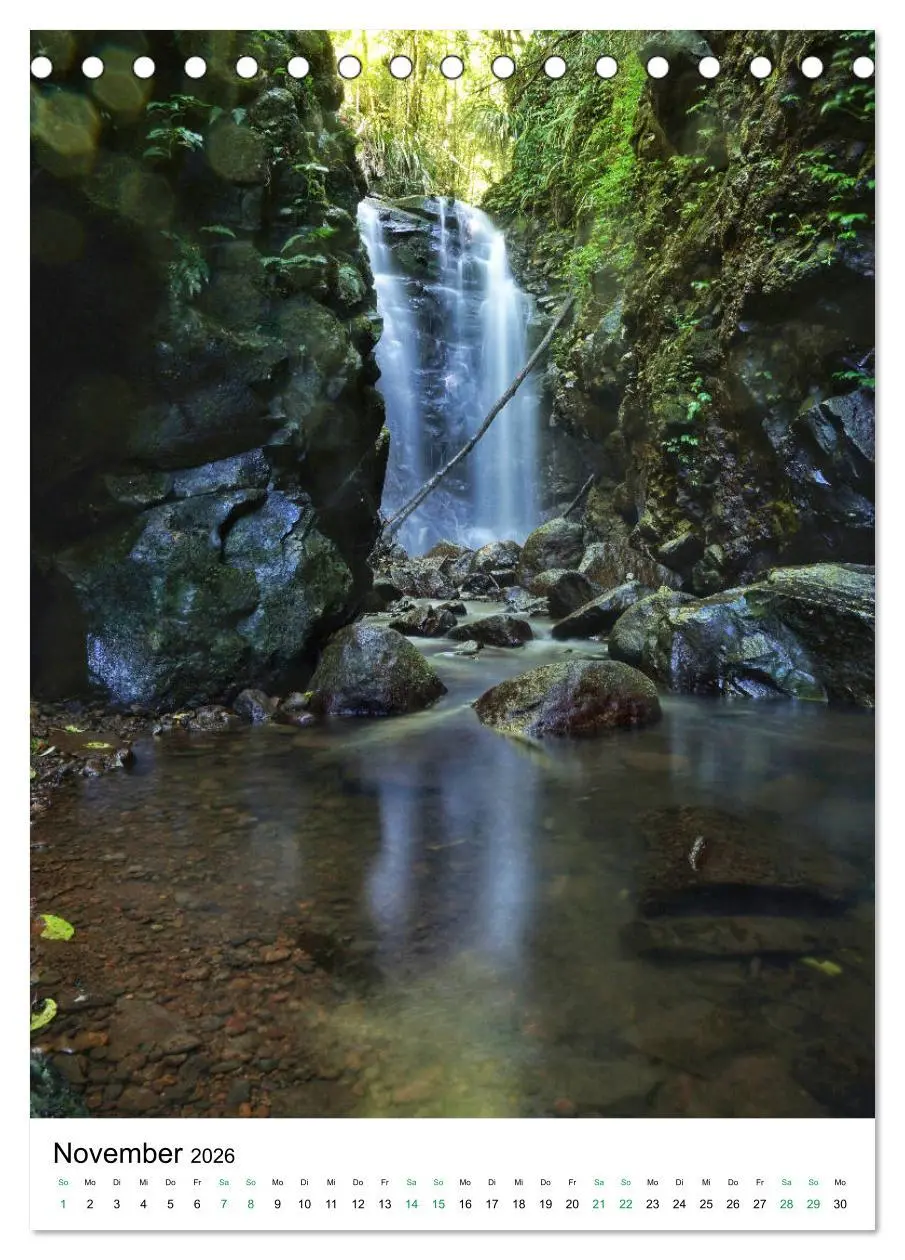 Bild: 9783516398649 | Regenwald - Australien (Tischkalender 2026 DIN A5 hoch), CALVENDO...
