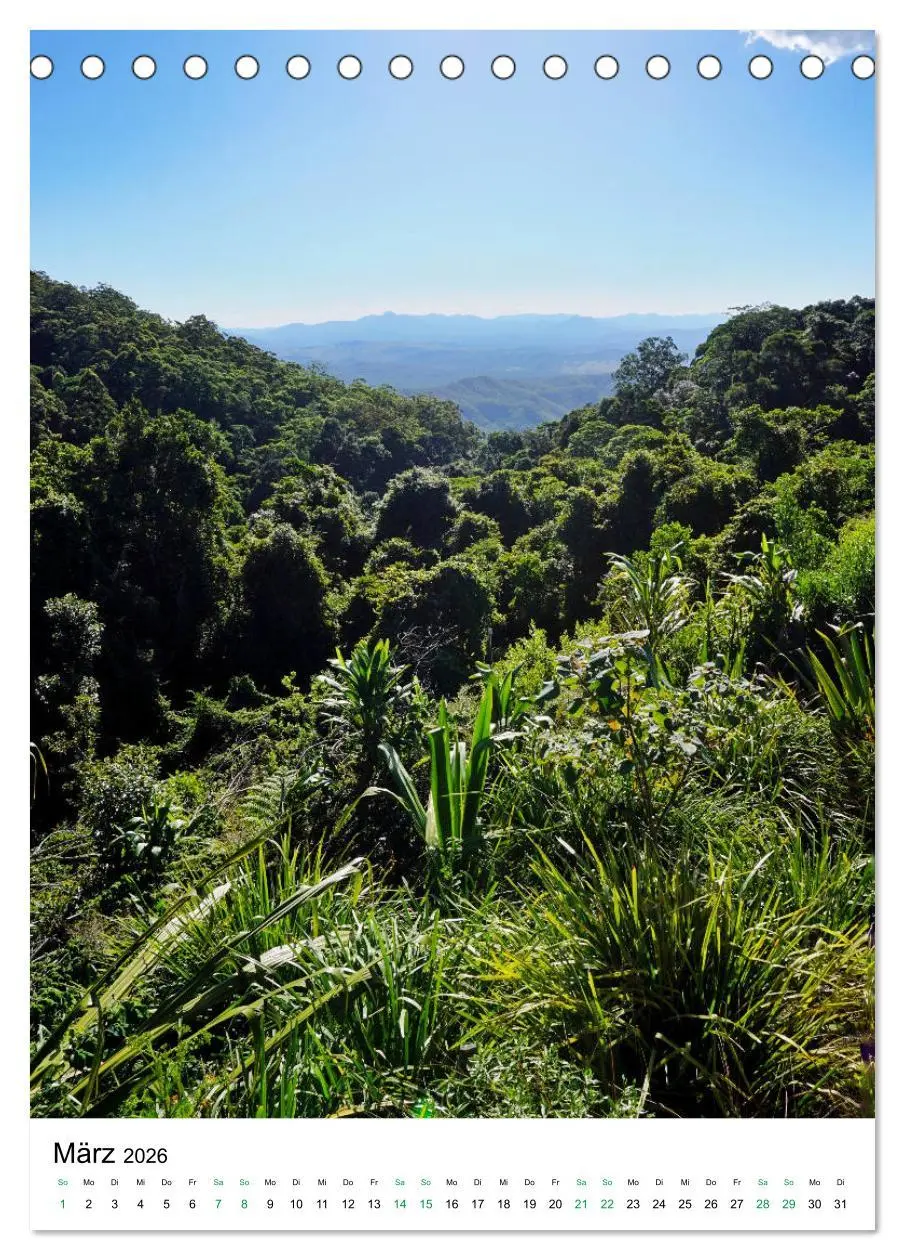 Bild: 9783516398649 | Regenwald - Australien (Tischkalender 2026 DIN A5 hoch), CALVENDO...