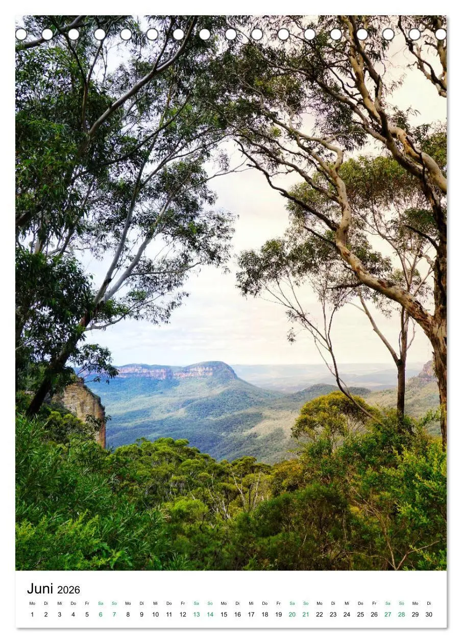 Bild: 9783516398649 | Regenwald - Australien (Tischkalender 2026 DIN A5 hoch), CALVENDO...