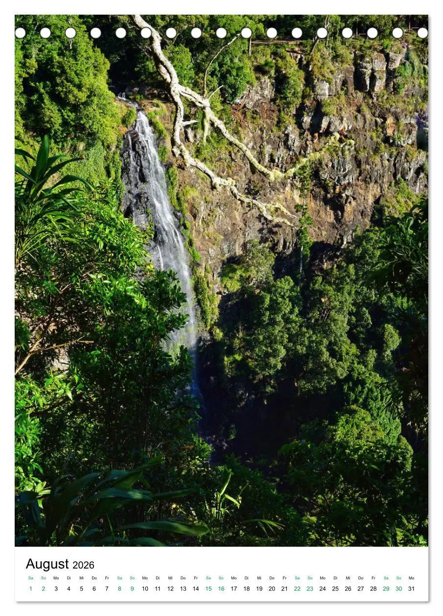 Bild: 9783516398649 | Regenwald - Australien (Tischkalender 2026 DIN A5 hoch), CALVENDO...