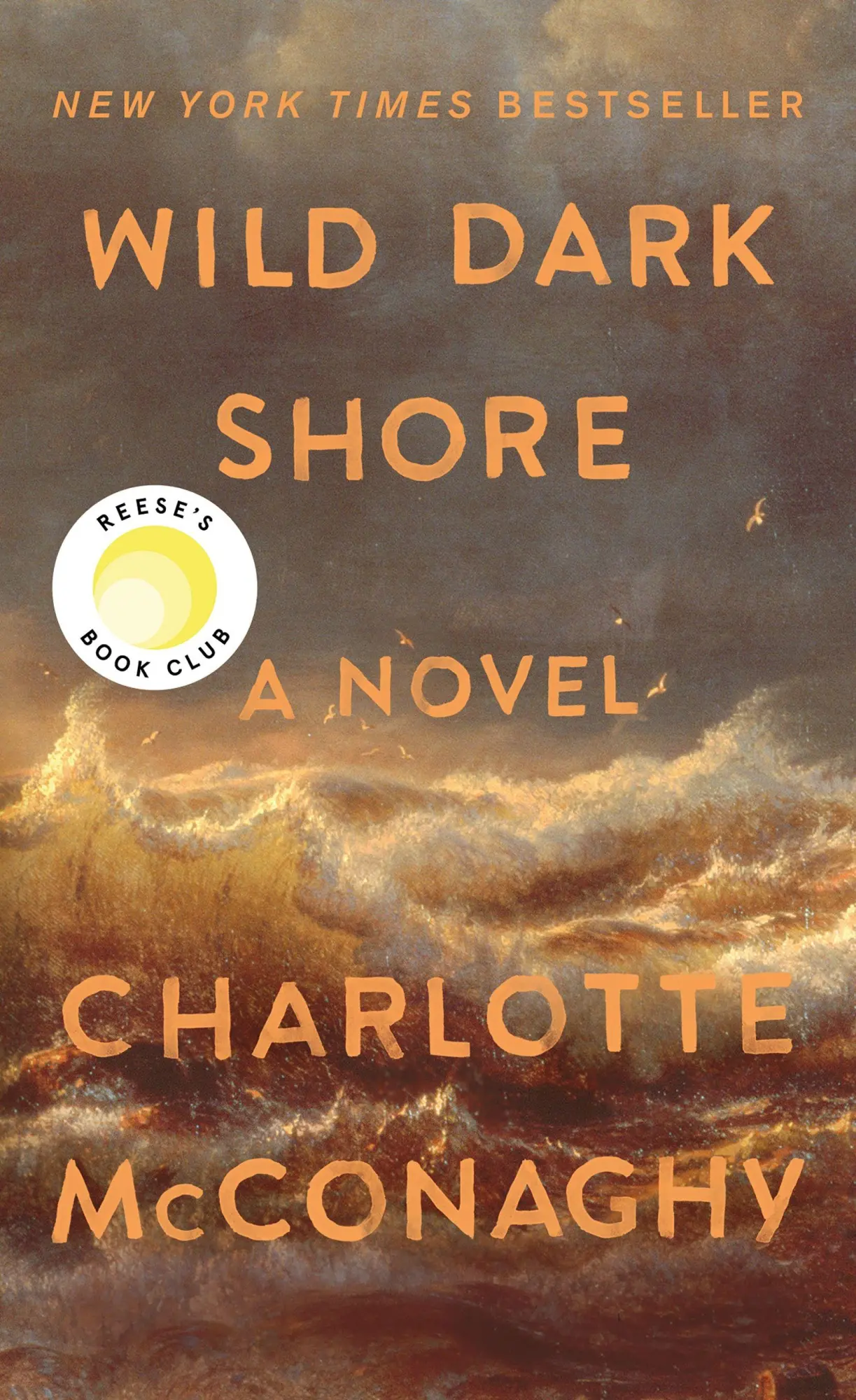 Cover: 9781250478849 | Wild Dark Shore | Charlotte McConaghy | Taschenbuch | Englisch | 2026