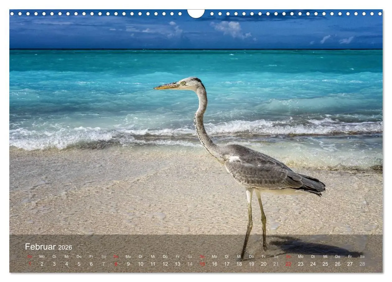Bild: 9783516068849 | Malediven Impressionen aus dem Paradies (Wandkalender 2026 DIN A3...