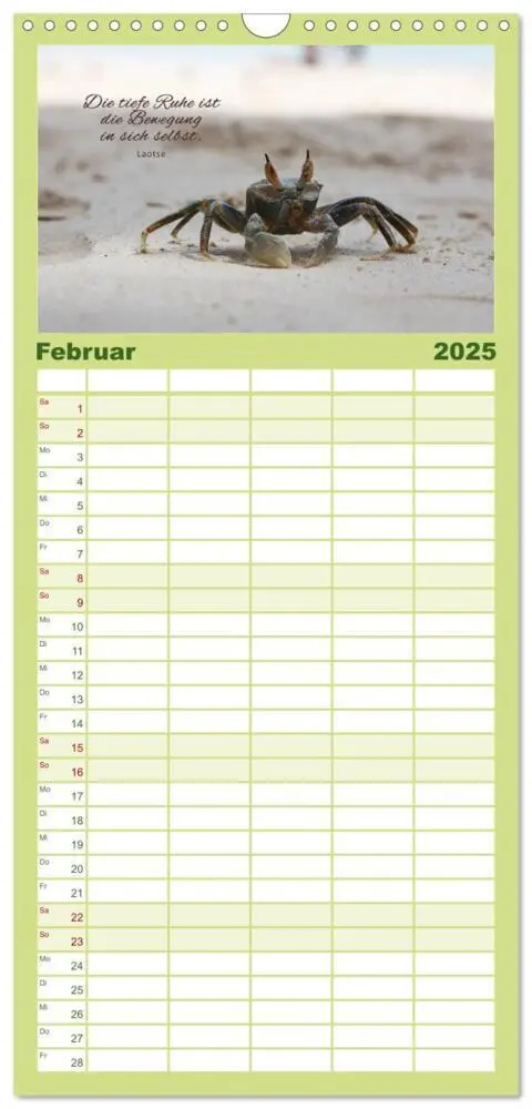 Bild: 9783457108949 | Familienplaner 2025 - Ruhe und Gelassenheit 2025 mit 5 Spalten...