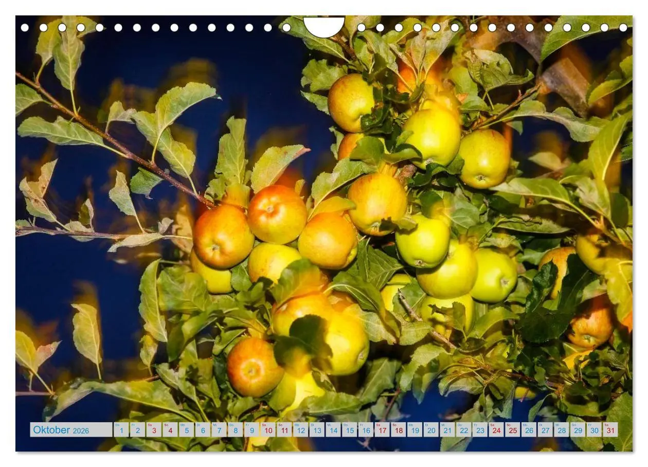 Bild: 9783457898949 | Schönes Südtirol (Wandkalender 2026 DIN A4 quer), CALVENDO...