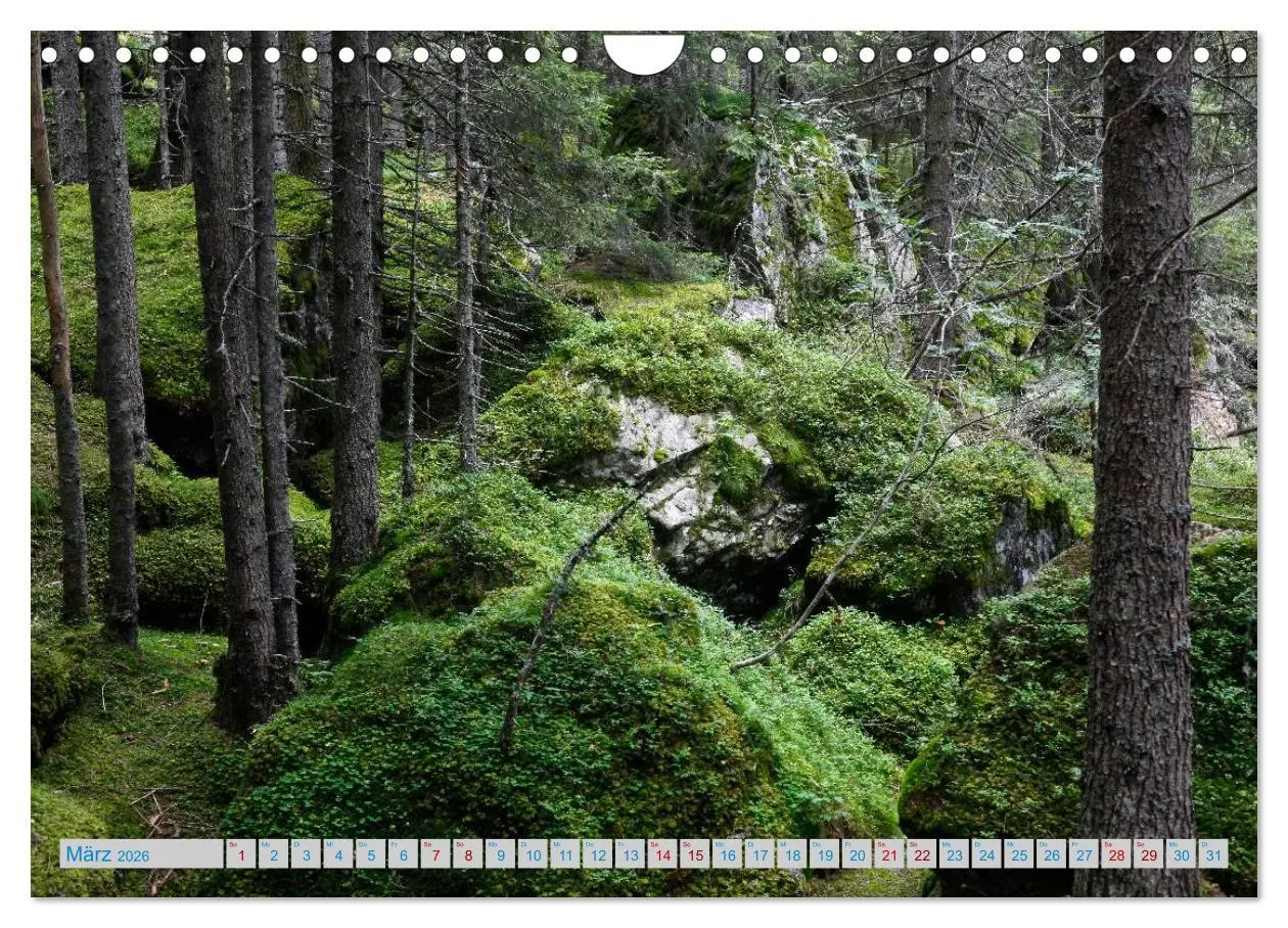 Bild: 9783457898949 | Schönes Südtirol (Wandkalender 2026 DIN A4 quer), CALVENDO...