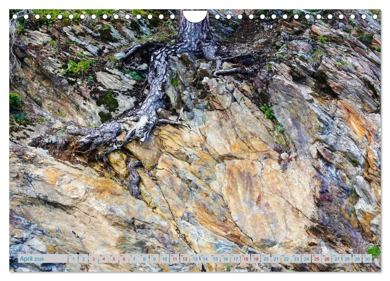 Bild: 9783457898949 | Schönes Südtirol (Wandkalender 2026 DIN A4 quer), CALVENDO...