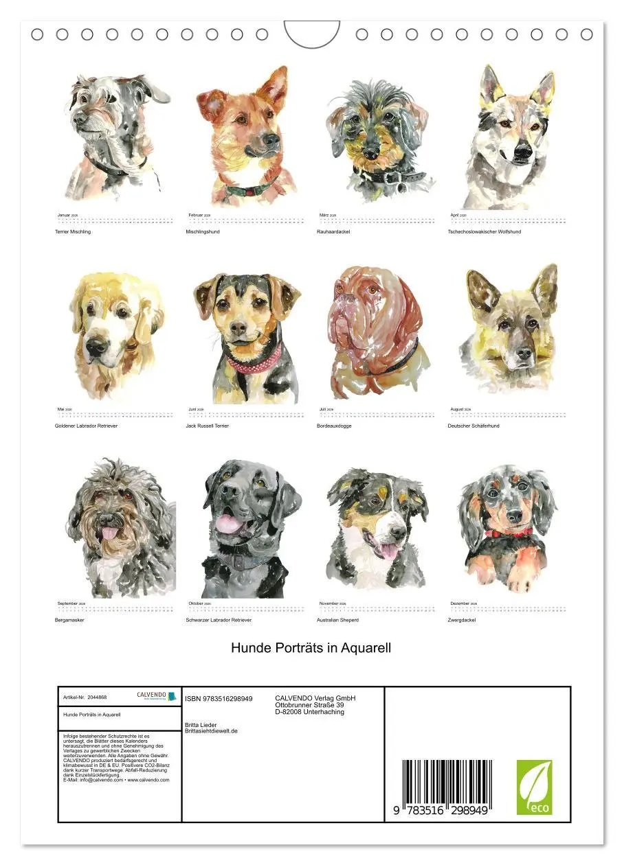 Bild: 9783516298949 | Hunde Porträts in Aquarell (Wandkalender 2026 DIN A4 hoch),...