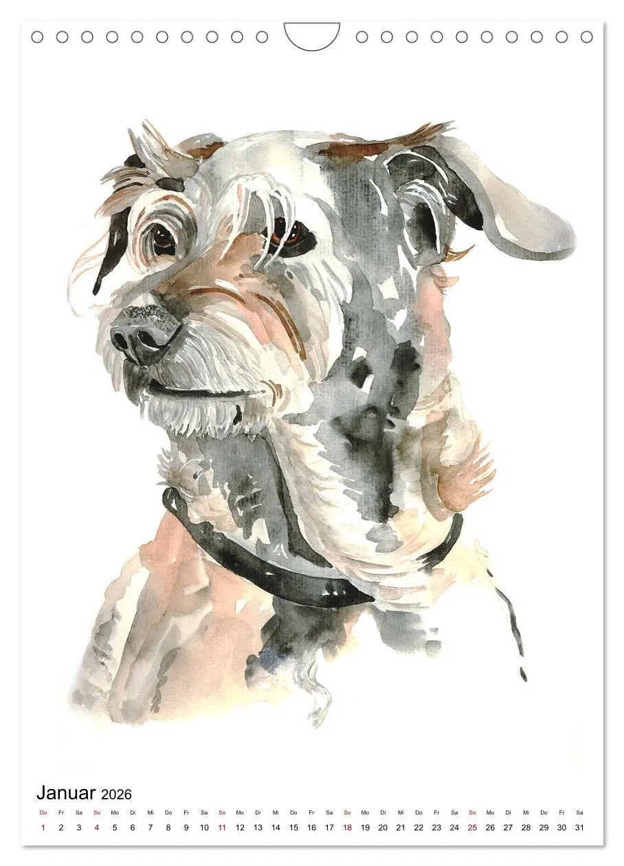 Bild: 9783516298949 | Hunde Porträts in Aquarell (Wandkalender 2026 DIN A4 hoch),...
