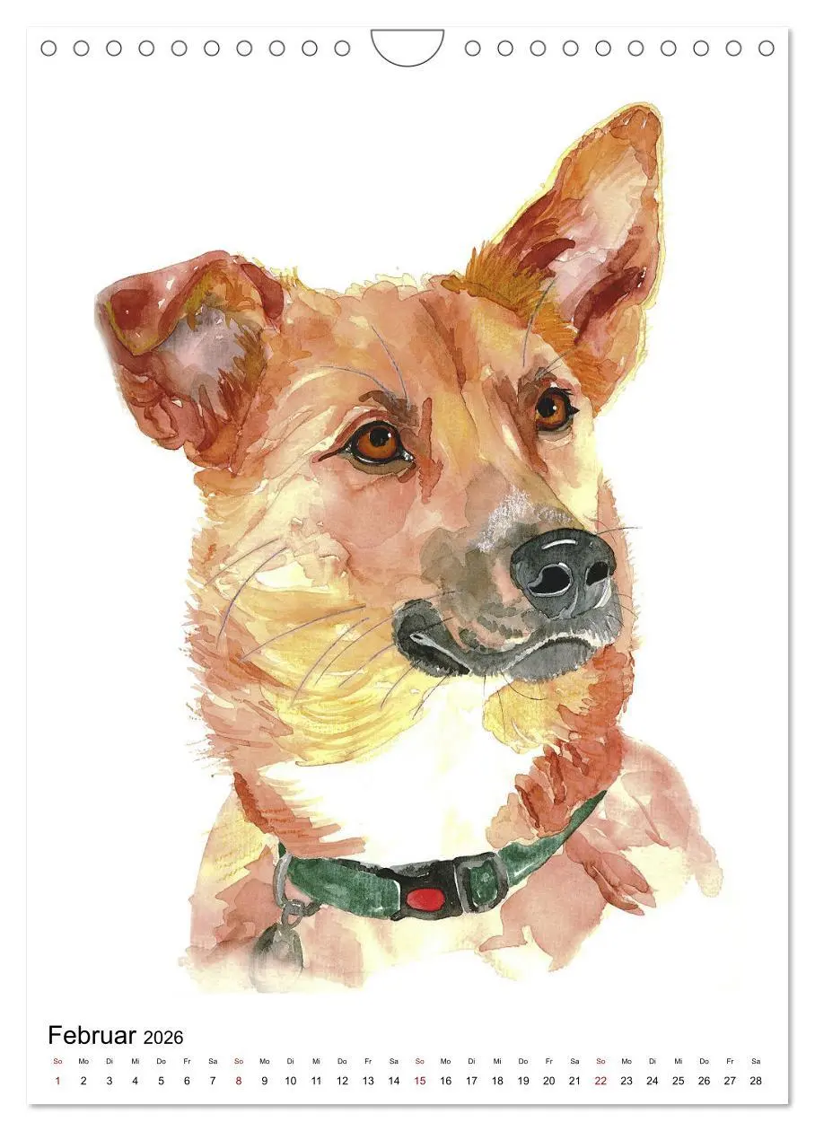Bild: 9783516298949 | Hunde Porträts in Aquarell (Wandkalender 2026 DIN A4 hoch),...