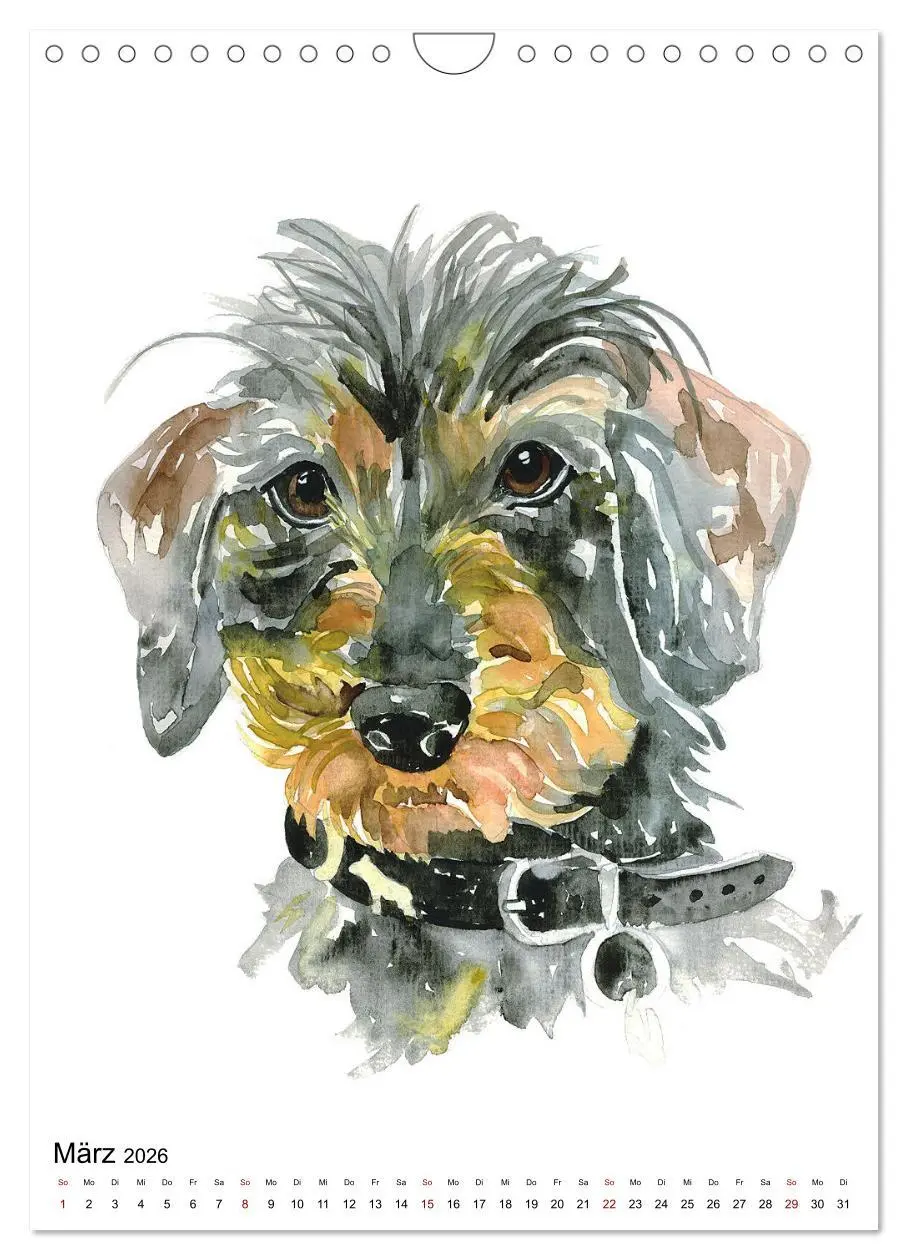 Bild: 9783516298949 | Hunde Porträts in Aquarell (Wandkalender 2026 DIN A4 hoch),...