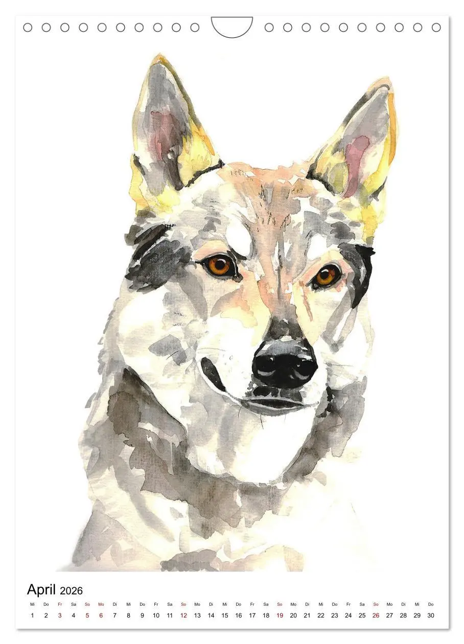Bild: 9783516298949 | Hunde Porträts in Aquarell (Wandkalender 2026 DIN A4 hoch),...