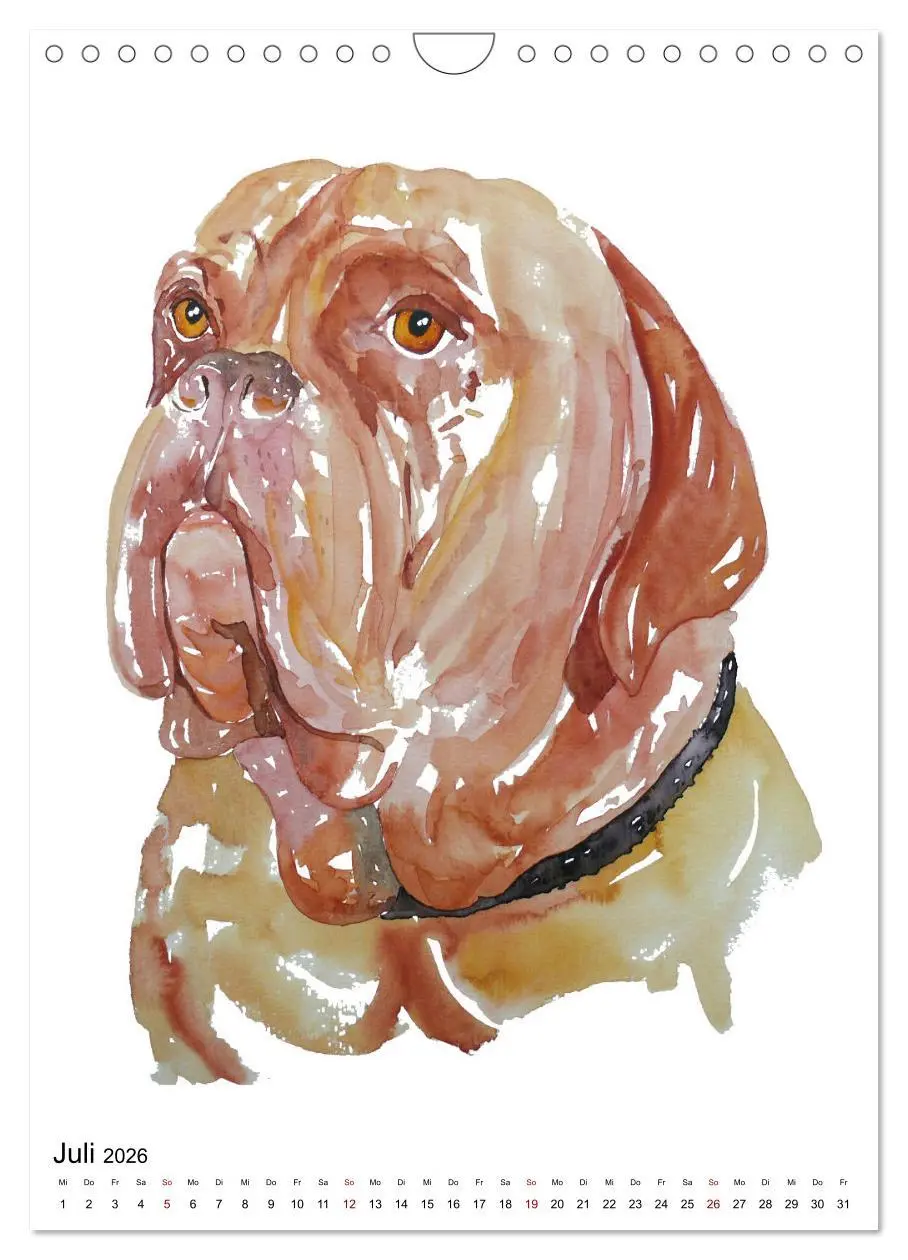 Bild: 9783516298949 | Hunde Porträts in Aquarell (Wandkalender 2026 DIN A4 hoch),...
