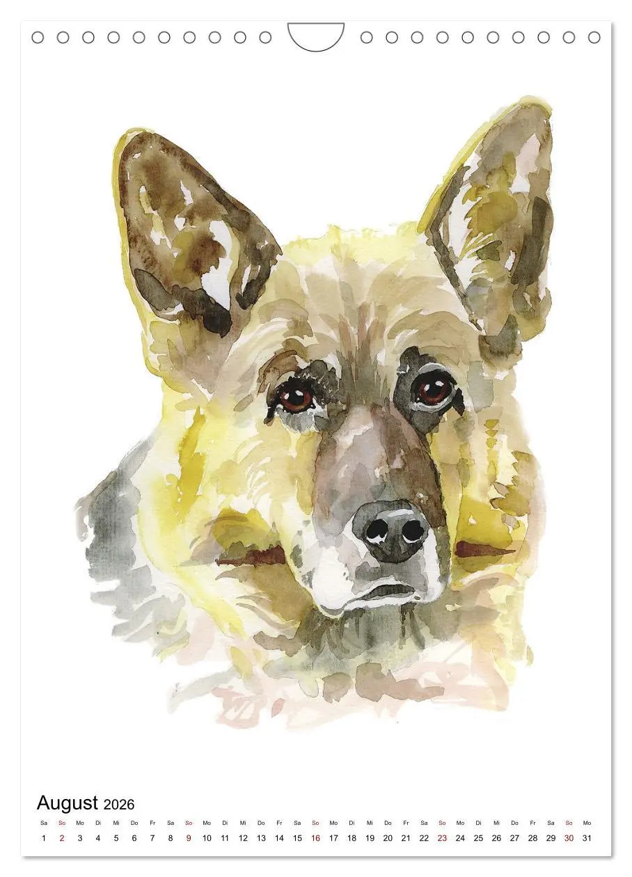 Bild: 9783516298949 | Hunde Porträts in Aquarell (Wandkalender 2026 DIN A4 hoch),...