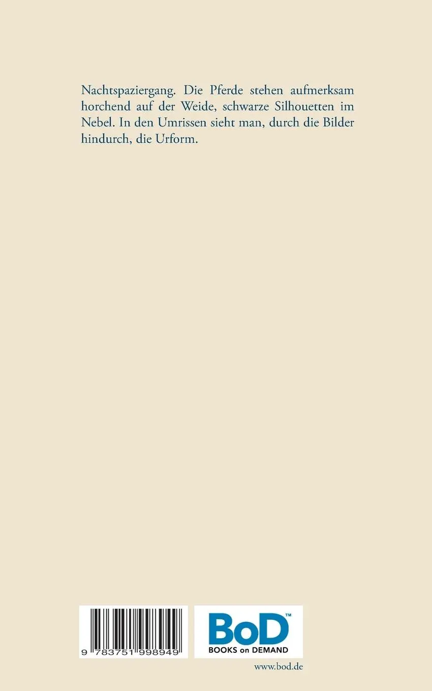 Rückseite: 9783751998949 | Silhouetten im Nebel | Aufzeichnungen | Timo Kölling | Taschenbuch