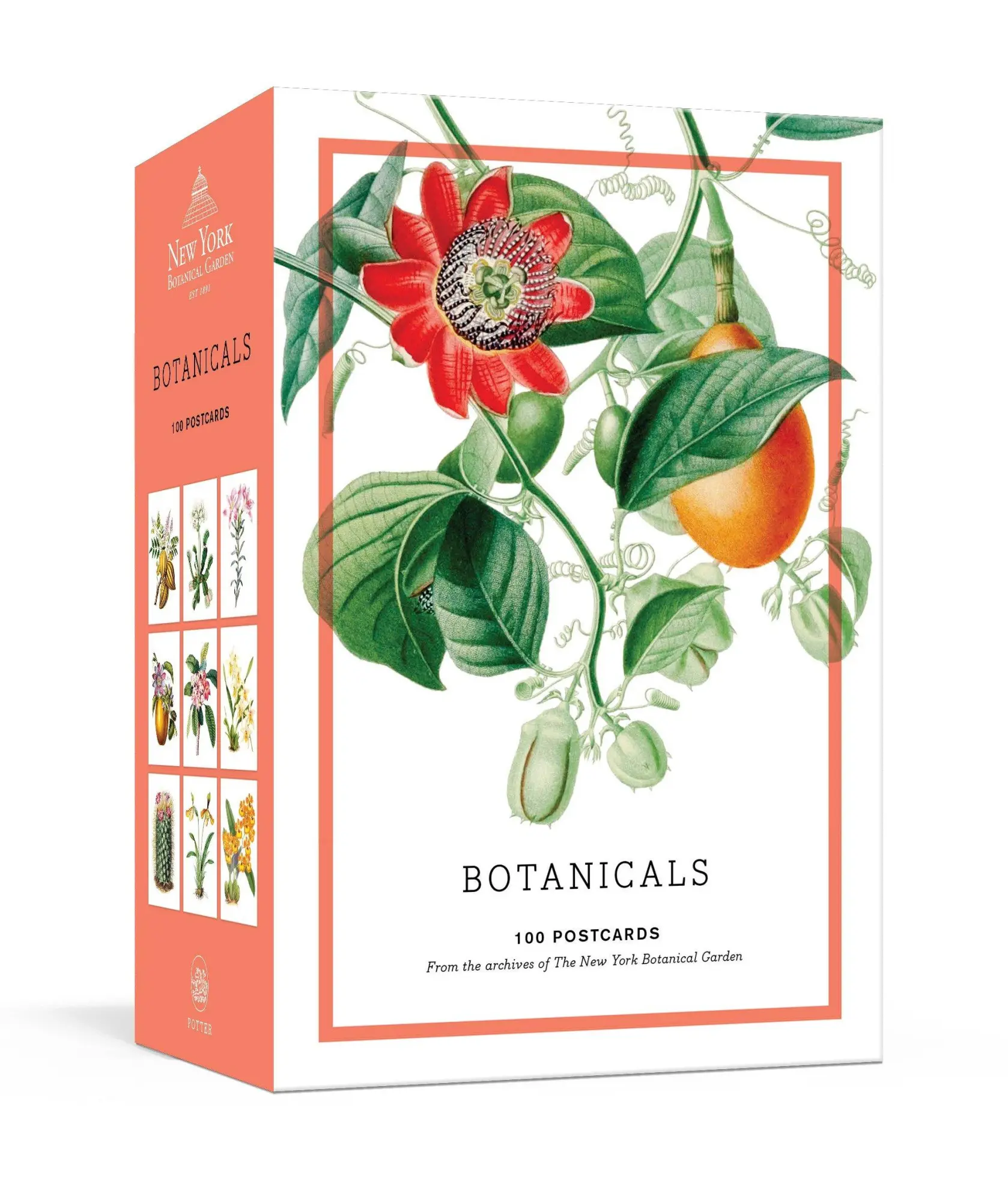 Cover: 9781524759049 | Botanicals | The New York Botanical Garden | Taschenbuch | 100 S.
