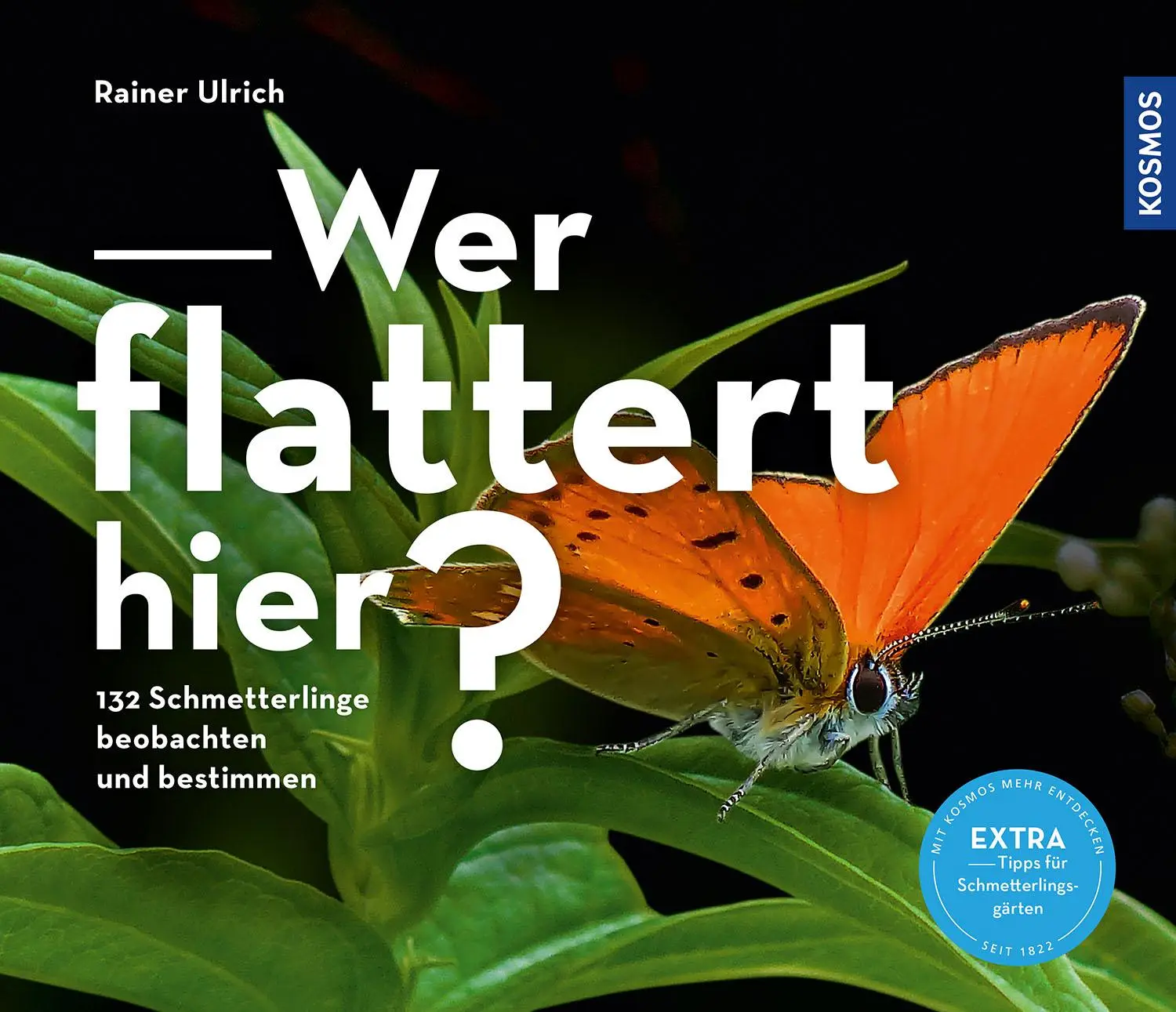 Cover: 9783440169049 | Wer flattert hier | Rainer Ulrich | Taschenbuch | 142 S. | Deutsch
