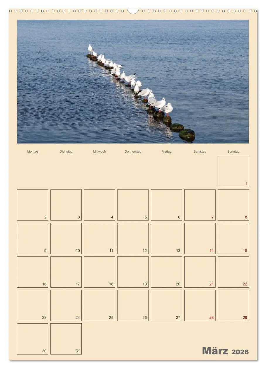 Bild: 9783516329049 | Usedom Ostsee - Terminplaner (hochwertiger Premium Wandkalender...