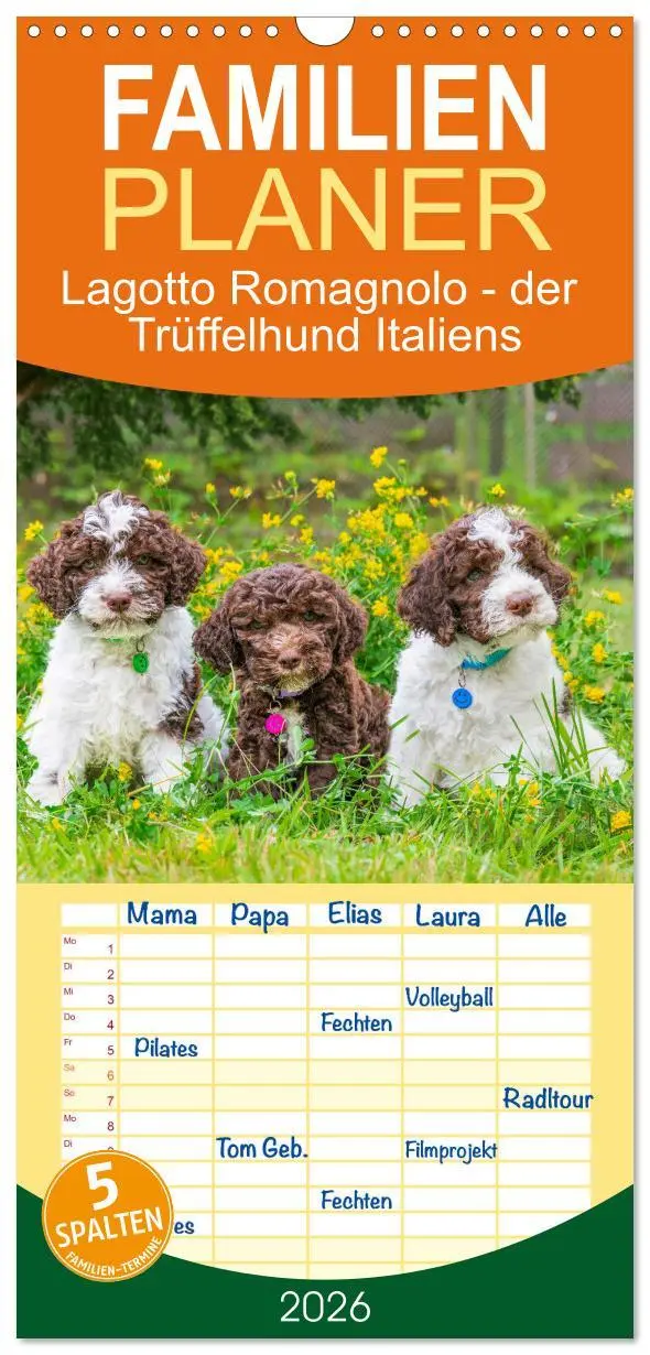 Cover: 9783516499049 | Familienplaner 2026 - Lagotto Romagnolo - der Trüffelhund Italiens...