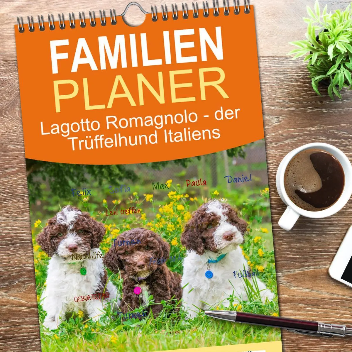 Bild: 9783516499049 | Familienplaner 2026 - Lagotto Romagnolo - der Trüffelhund Italiens...