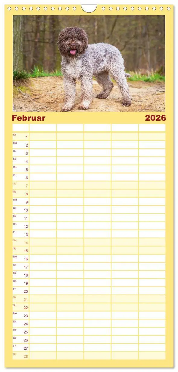 Bild: 9783516499049 | Familienplaner 2026 - Lagotto Romagnolo - der Trüffelhund Italiens...