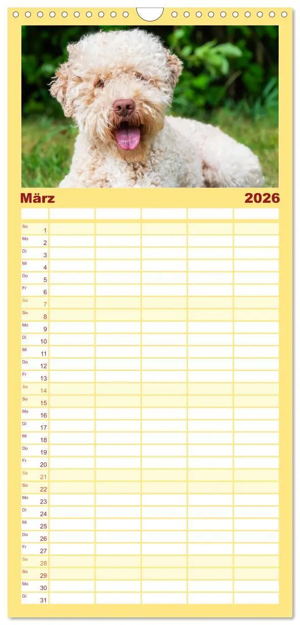 Bild: 9783516499049 | Familienplaner 2026 - Lagotto Romagnolo - der Trüffelhund Italiens...