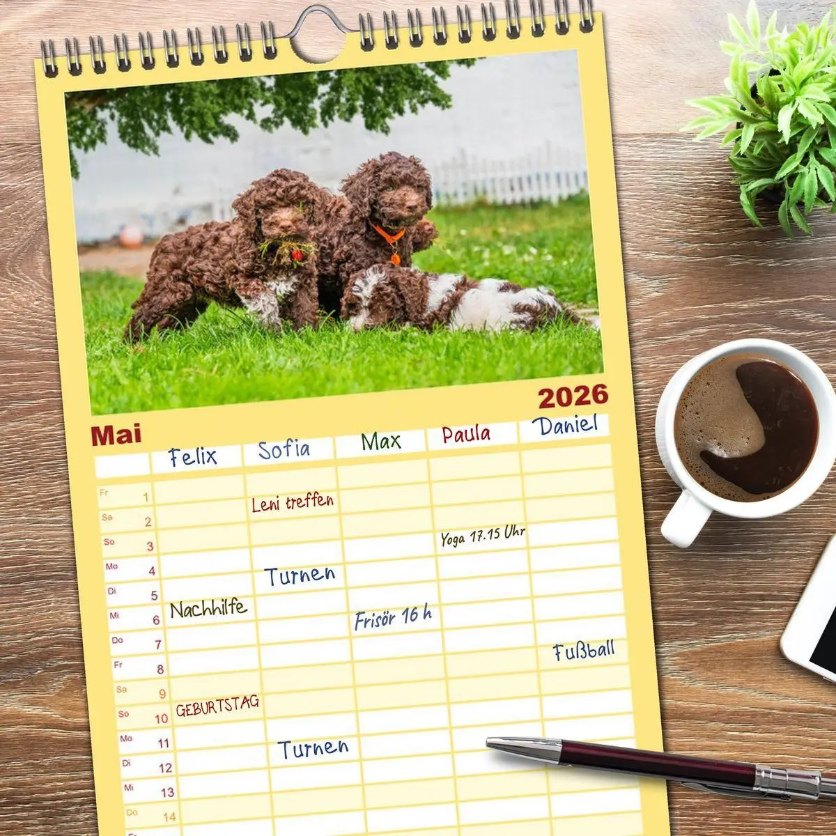 Bild: 9783516499049 | Familienplaner 2026 - Lagotto Romagnolo - der Trüffelhund Italiens...